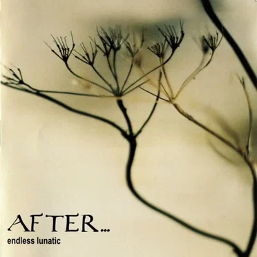 Endless Lunatic by After... - album cover