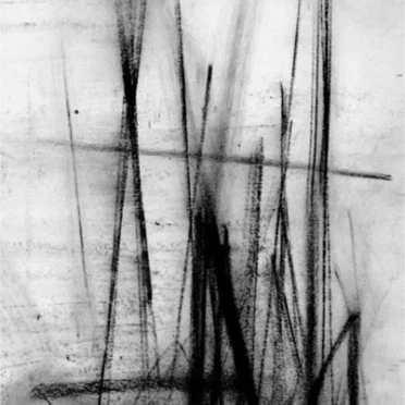 Darkened Light in World of Pale Convictions by Troth - album cover