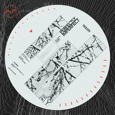 「PERFECTLY IMPERFECT」 by Mord Fustang - album cover