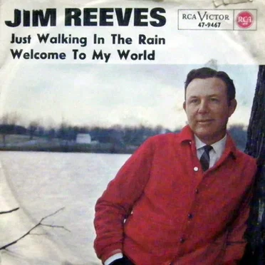 Just Walking in the Rain / Welcome to My World