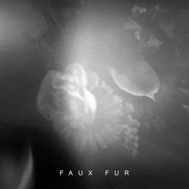 Faux Fur by Faux Fur - album cover