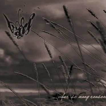 For So Many Reasons by Vaer - album cover