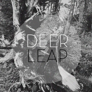 Here. Home. by Deer Leap - album cover