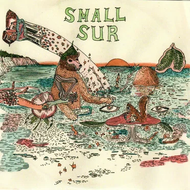 Small Sur