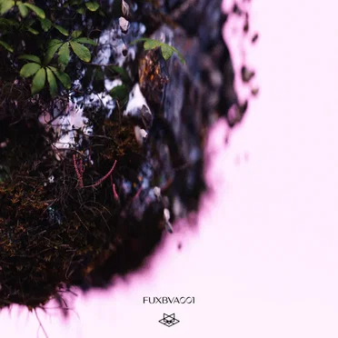 Fuxbau VA 001 by Various Artists - album cover