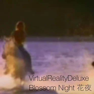 Blossom Night 花夜