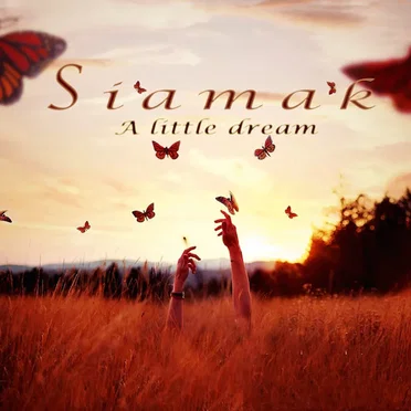 A Little Dream