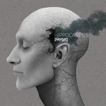 Hippocampus by Behrooz Paygan - album cover