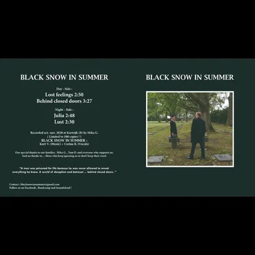 Lost Feelings by Black Snow in Summer - album cover