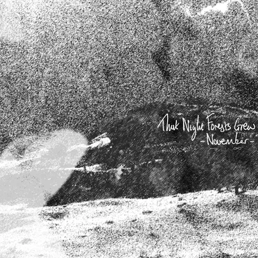 November by That Night Forests Grew - album cover