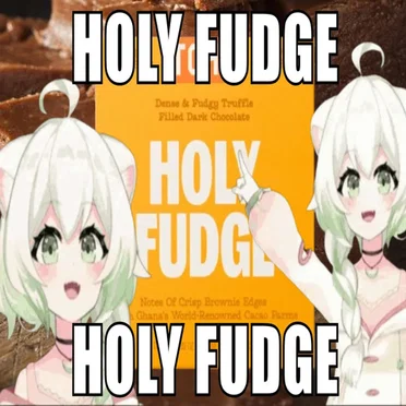 HOLY FUDGE