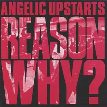 Reason Why?