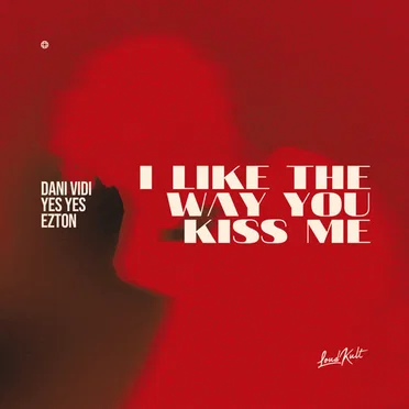 I Like the Way You Kiss Me