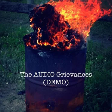 The AUDIO Grievances by The AUDIO Grievances - album cover