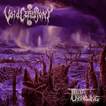VoidCeremony