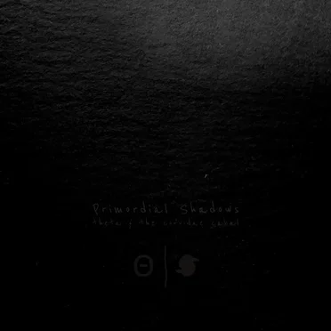 Primordial Shadows
