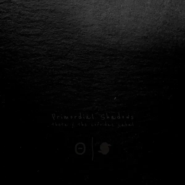 Primordial Shadows