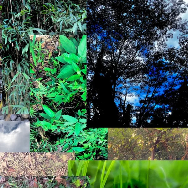 ambient structures