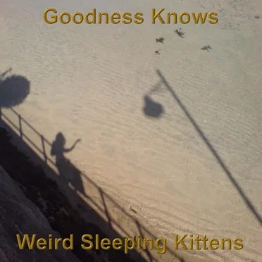 Goodness Knows by Weird Sleeping Kittens - album cover