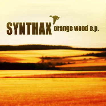 Orange Wood E.P. by Synthax - album cover