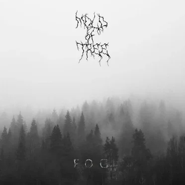 Fog