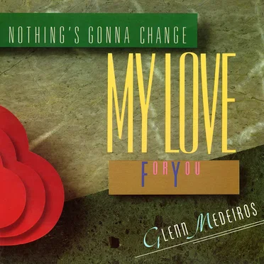Nothing's Gonna Change My Love For You