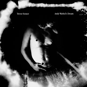 Andy Warhol’s Dream by Trevor Sensor - album cover