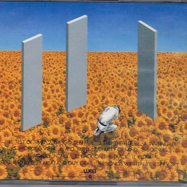 Xenophobia (Why?) by v.Spy v.Spy - album cover