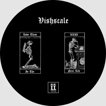 Love Them In The Next Life by Vishscale - album cover