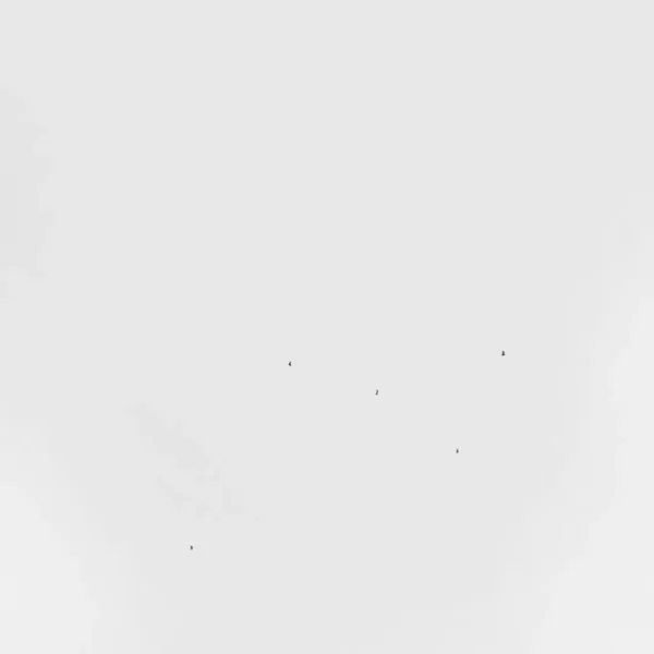 Conjectures