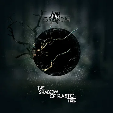 The Shadow of Plastic Tree by Monsieur Grandin - album cover