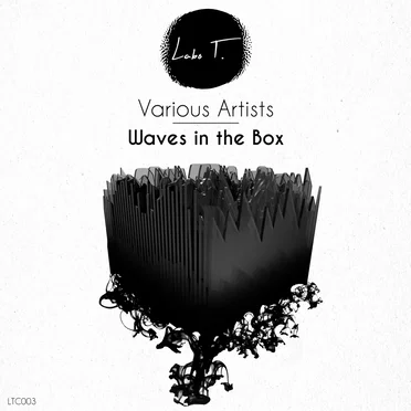 Waves in the Box by Various Artists - album cover