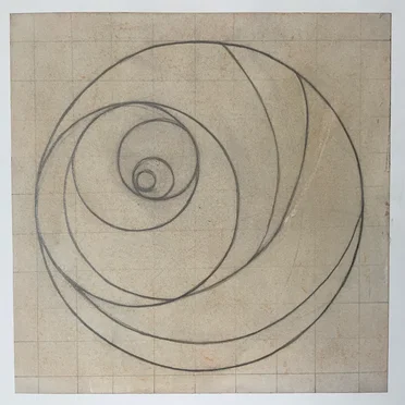 A Coiled Form