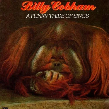 A Funky Thide of Sings