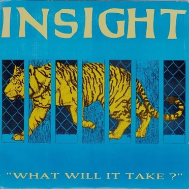 What Will It Take? by Insight - album cover