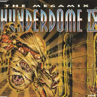 Thunderdome IX: The Megamix by Various Artists - album cover
