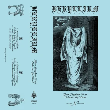 Your Laughter is an Echo in my Head by Beryllium - album cover