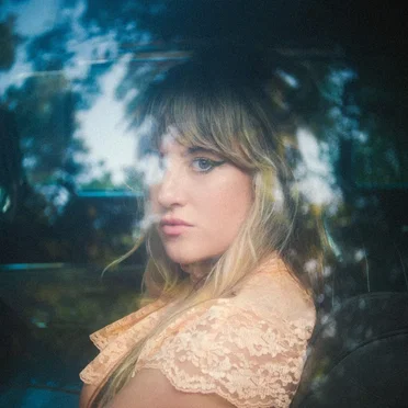 I've Seen the Willow Trees by Lindsey Troy - album cover