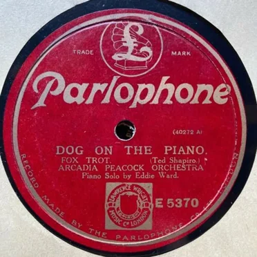 Dog on the Piano / Too Tired by Arcadia Peacock Orchestra - album cover
