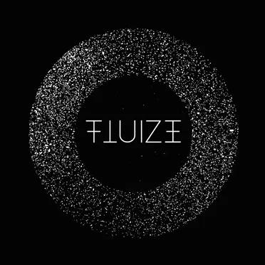 Flying Through the Light by Fluize - album cover