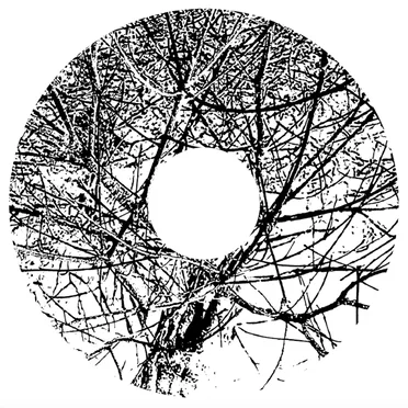 MMXX - 07: In All Due Deference