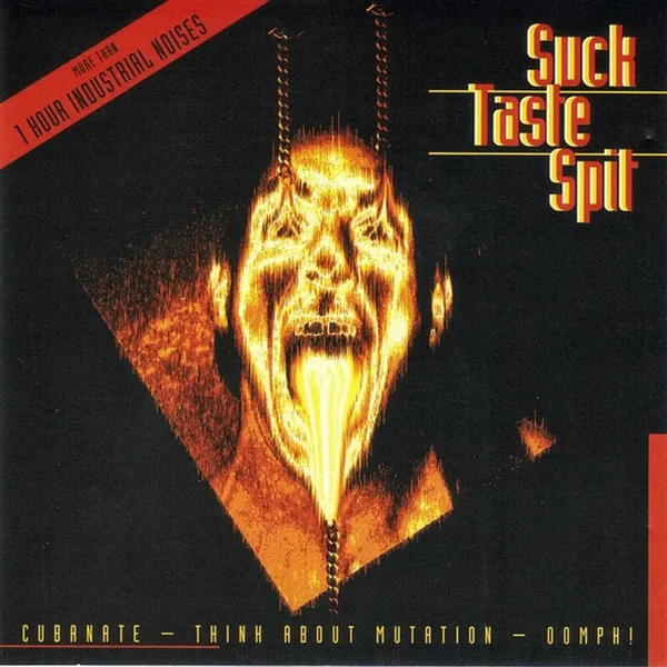 Suck‐Taste‐Spit