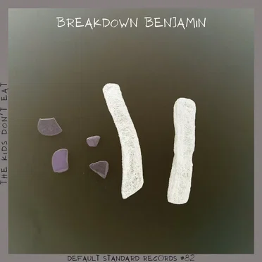 The Kids Don't Eat by Breakdown Benjamin - album cover