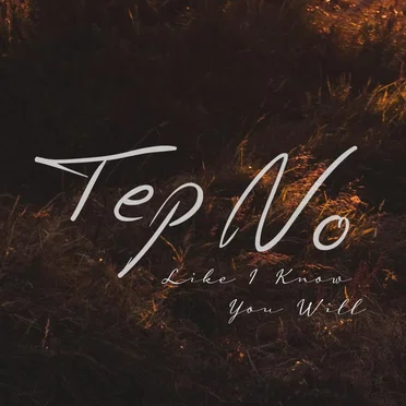 Like I Know You Will