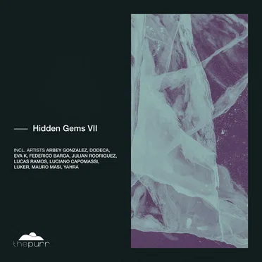 Hidden Gems VII by Various Artists - album cover