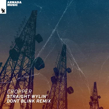 Straight Wylin’ (DONT BLINK remix) by Cropper - album cover