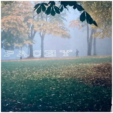 Pacey (s/t) by Pacey - album cover