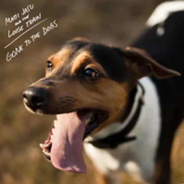 Gone to the Dogs by Matti Jasu and the Loose Train - album cover