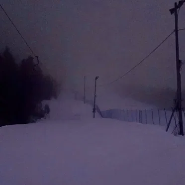 罪を犯した