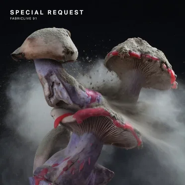 FabricLive 91: Special Request